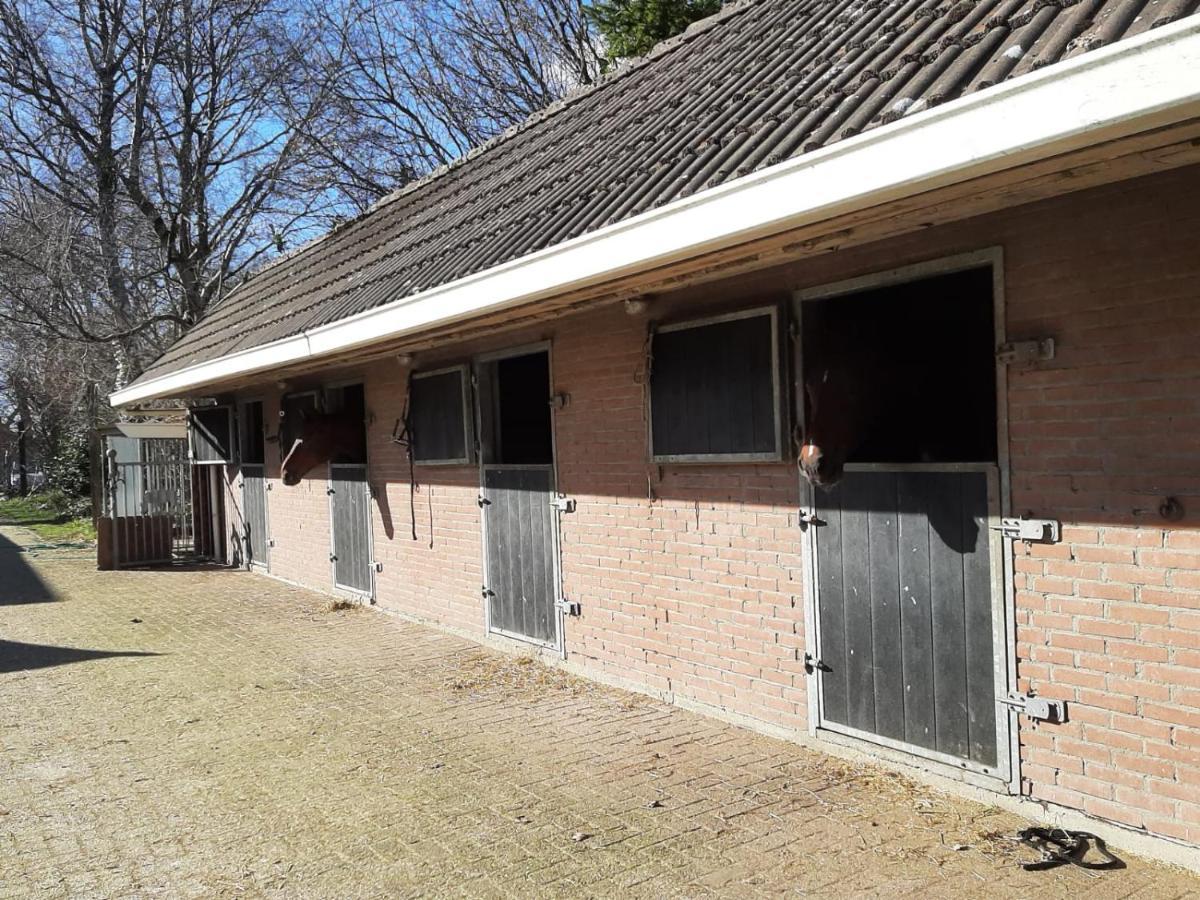 'T Wolthoes Vlagtwedde Exteriér fotografie